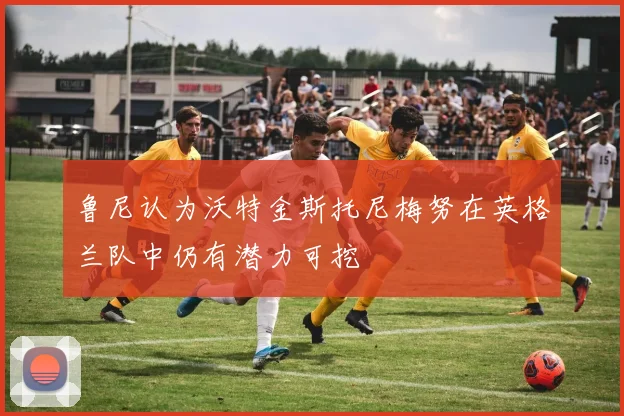 鲁尼认为沃特金斯托尼梅努在英格兰队中仍有潜力可挖